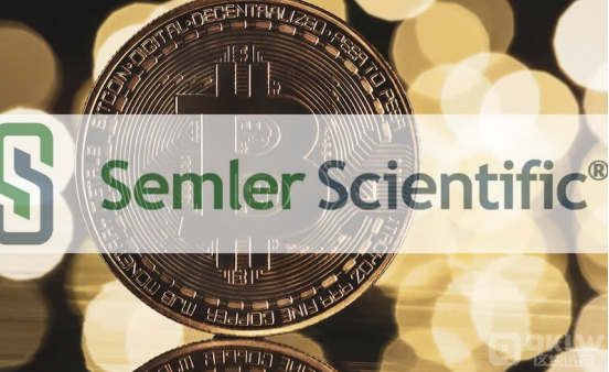 t(y)g(sh)˾ Semler Scientific Bitcoin DƬ
