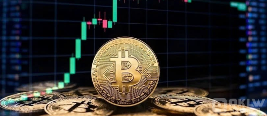 BitcoinַɢͶY߻ؚwE@F(xin)DƬ