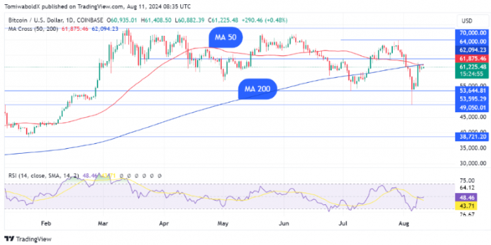 Bitcoin״γ2024DƬ