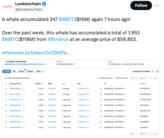 δ֪L~eُ(gu)I1,600f(wn)ԪWrapped Bitcoin DƬ