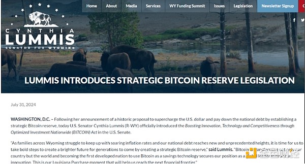 誰將成為 2025 年Crypto的主要采用者？圖片