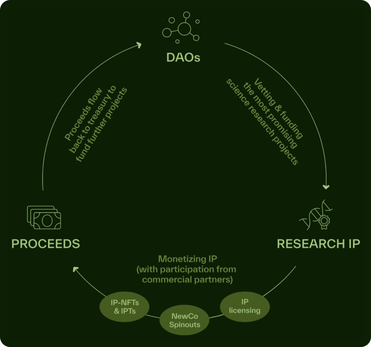 詳解BIO Protocol及DeSci領(lǐng)域項(xiàng)目如何革新科研 圖片